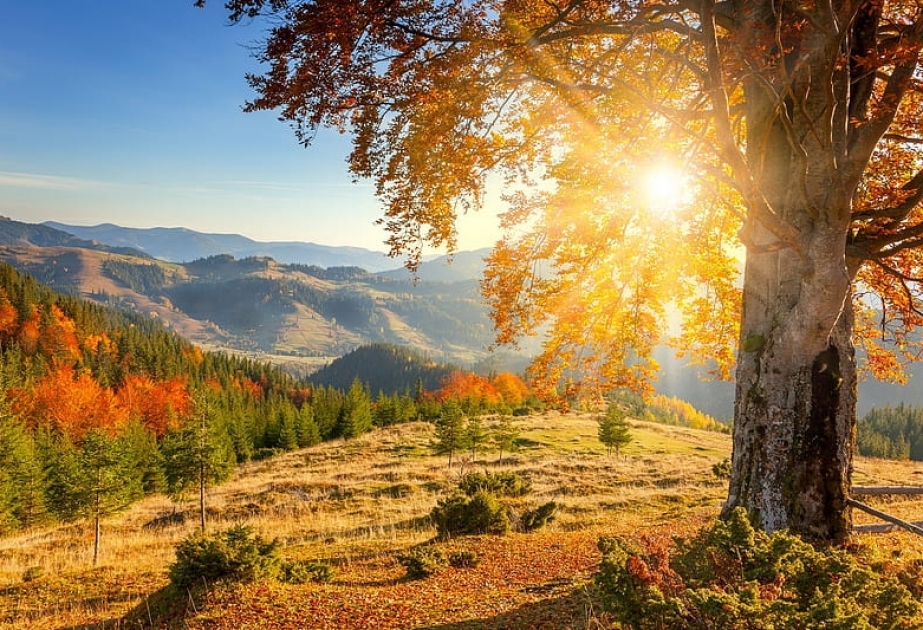 Ölkə ərazisində havanın temperaturu 28 dərəcəyə yüksələcək