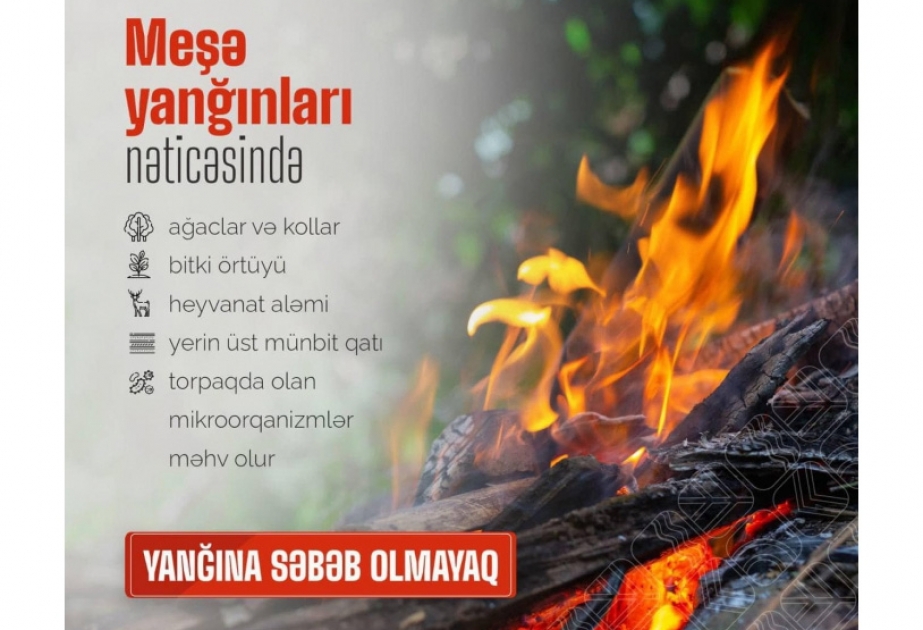 Son beş il ərzində meşə fondu torpaqlarında 197 yanğın hadisəsi baş verib