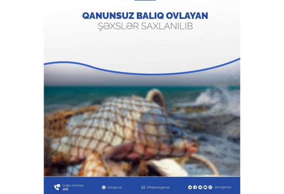 Qanunsuz balıq ovlayanlar cəzalandırılıblar