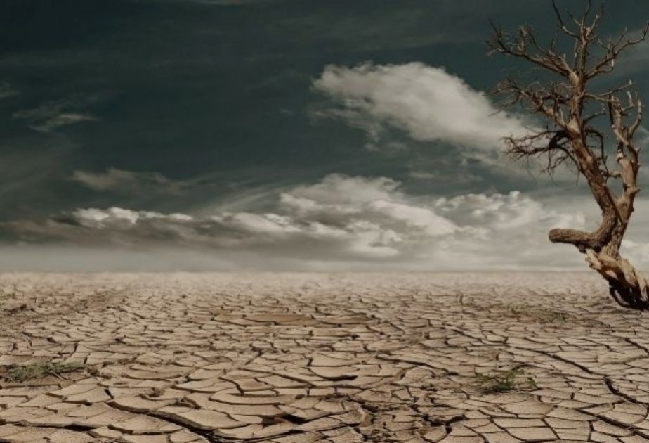 Le changement climatique compromet la quasi-totalité des objectifs de développement durable