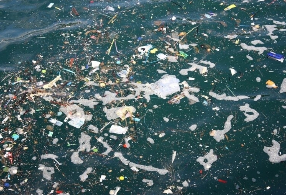 Genetically modified bacteria break down plastics in saltwater