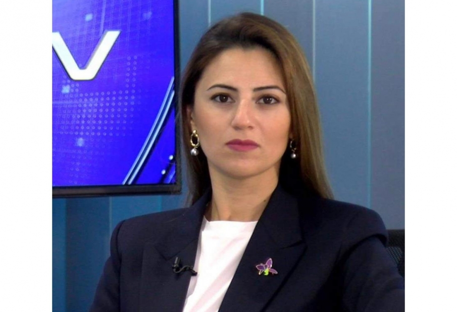 Sevinc Fətəliyeva: ABŞ öz cəsarətsizliyinə görə günahı Azərbaycanın üzərinə atmağa çalışır