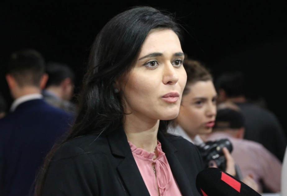 Gürcüstandakı radikal ermənilər soydaşlarımıza qarşı qarayaxma kampaniyası aparırlar
