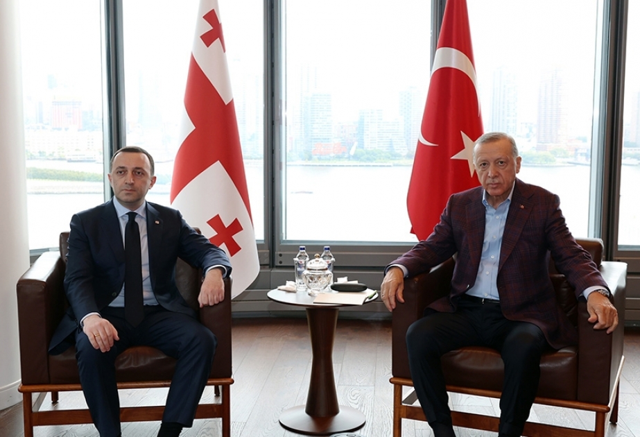 Türkiyə Prezidenti Nyu-Yorkda Gürcüstanın Baş naziri ilə görüşüb
