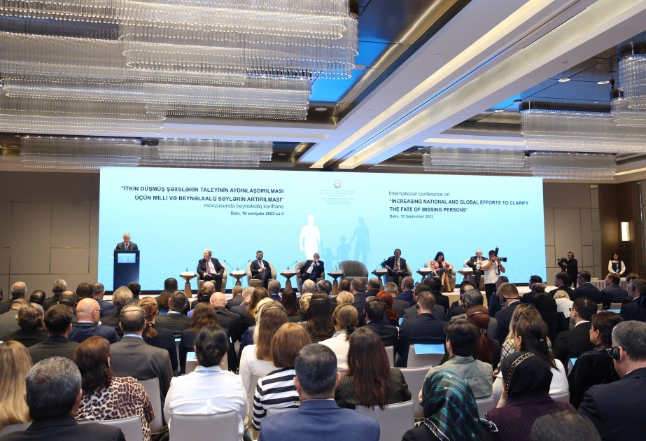 İtkin düşmüş şəxslərlə bağlı əməkdaşlığın gücləndirilməsi vacibdir - Panel iclası