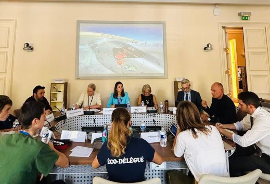 Azərbaycanlı deputat AŞPA-nın uşaqlar üzrə alt komitəsinin iclasına sədrlik edib