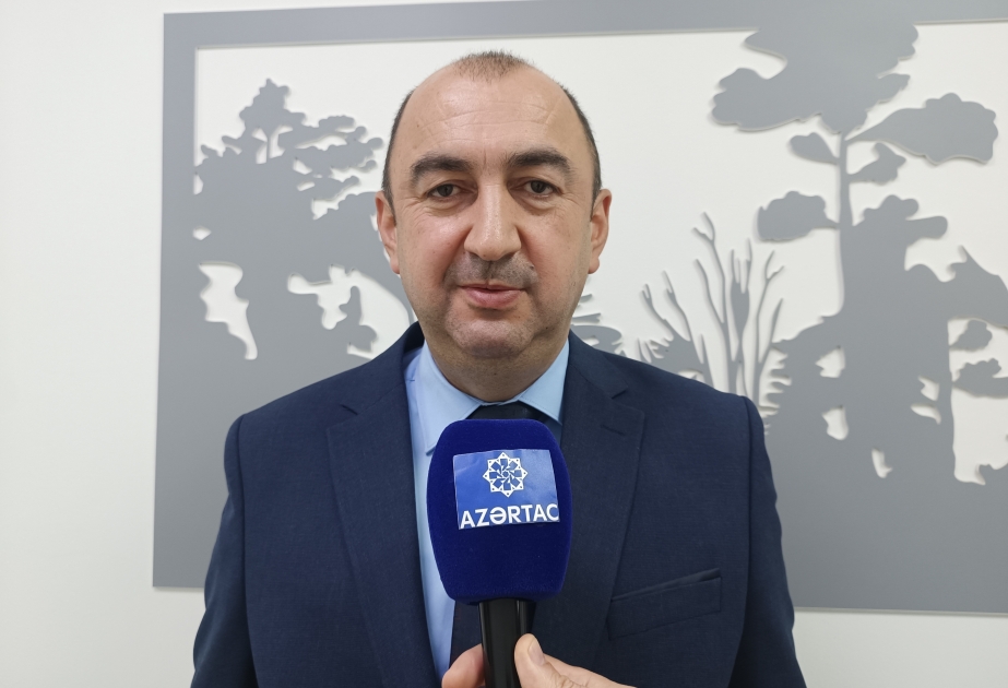 Nazir müavini: Hirkan meşələrində 50-yə qədər endemik və subendemik flora növü var