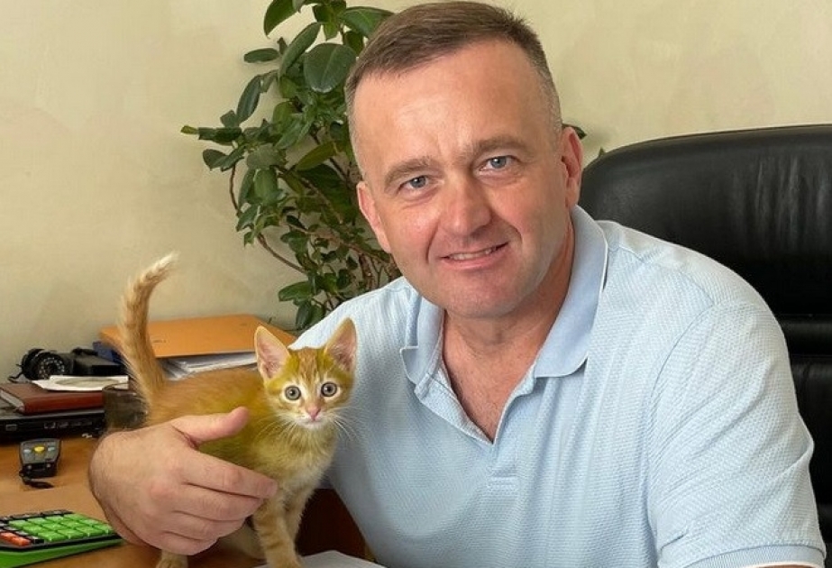 В Беларуси нашли котенка с зеленым окрасом