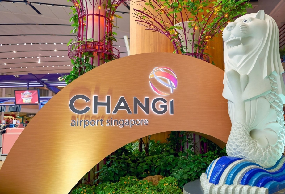 Singapur schafft Bordkarte und Reisepass ab