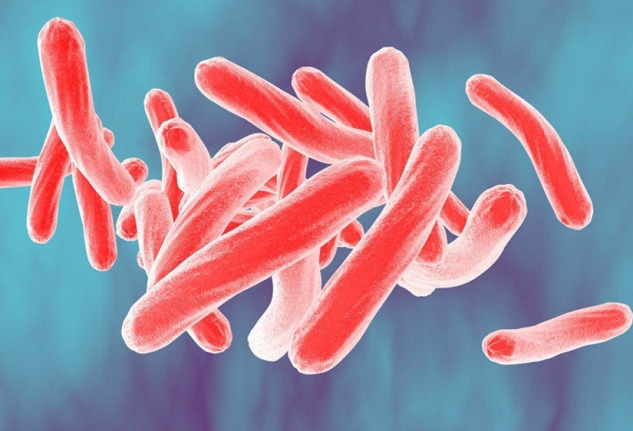 К 2030 году туберкулез должен быть ликвидирован