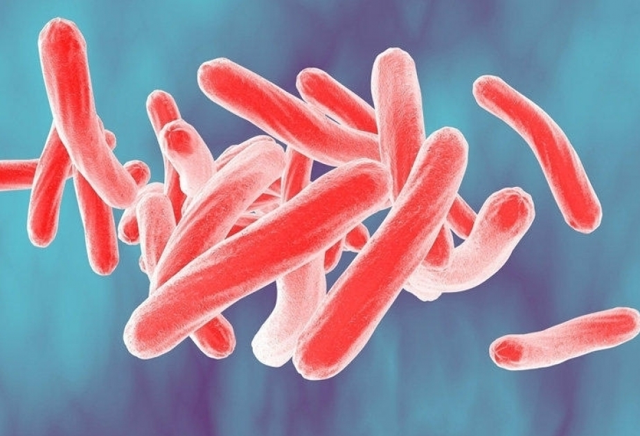 L’ONU et les Etats membres s’engagent à mettre fin à la tuberculose
