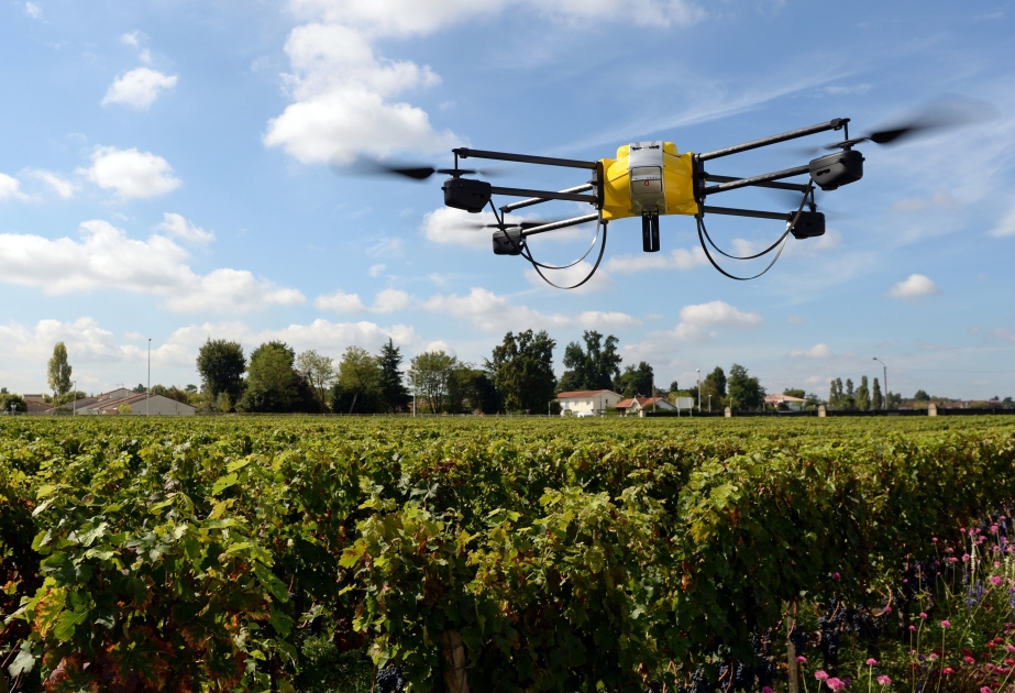 Азербайджан изучает опыт Колумбии в области применения дронов в сельском хозяйстве