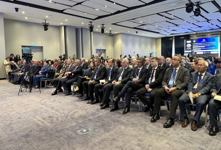 Günay Əfəndiyeva: Türk xalqları tərəfindən latın əlifbasının qəbulu vahid türk dilinin inkişafı üçün olduqca vacibdir