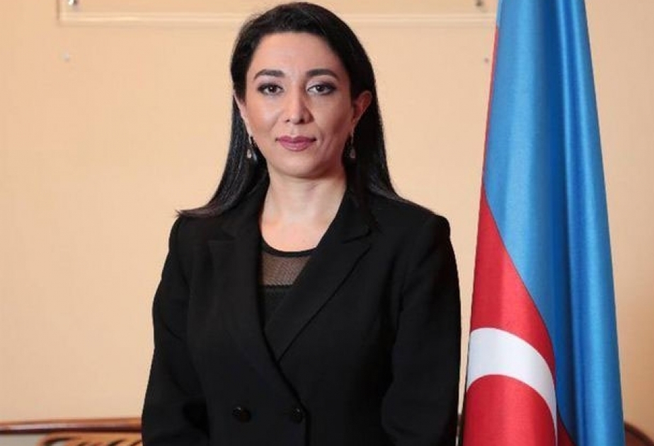 Омбудсмен: Азербайджан – одна из стран, которые наиболее страдают от дезинформации