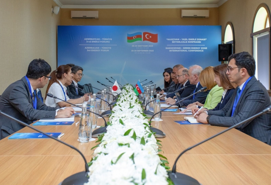Energetika naziri Naxçıvanda şirkət rəhbərləri ilə görüşüb