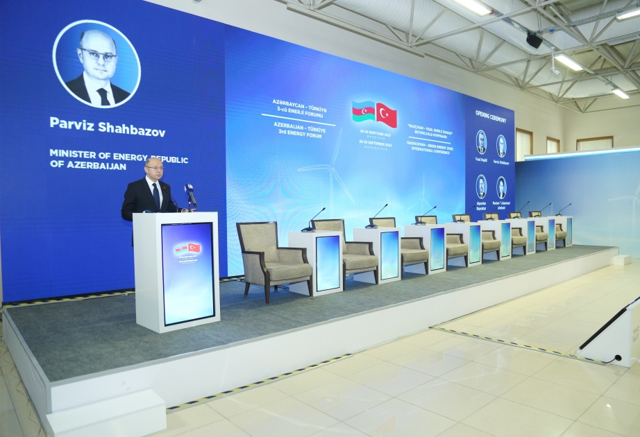 Parviz Shahbazov: It is planned to transport 10.2 billion cubic meters of natural gas from Azerbaijan to Türkiye