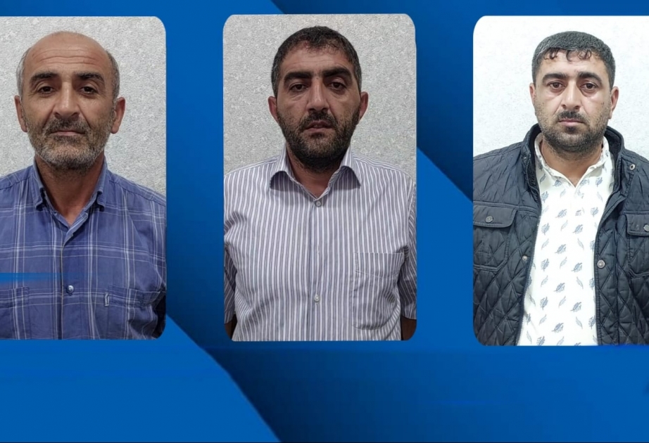 Lənkəranda mal-qara oğurluğu edən şəxslər saxlanılıb