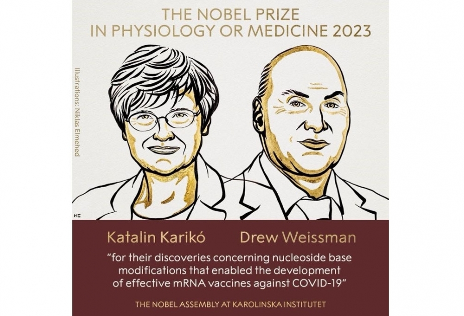 Нобелевскую премию по медицине присудили за изучение РНК для вакцин от COVID-19