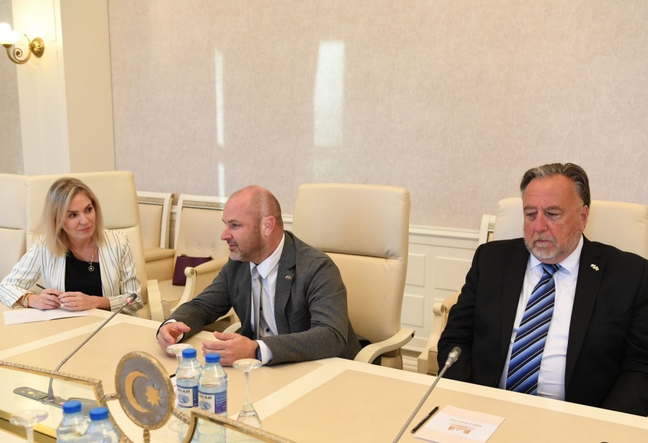 Yan Kubik: Çexiya dost Azərbaycanla əlaqələri bundan sonra da inkişaf etdirəcək