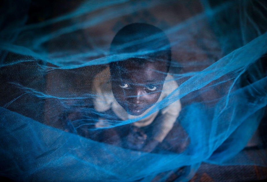 WHO empfiehlt neuen Malaria-Impfstoff für Kinder