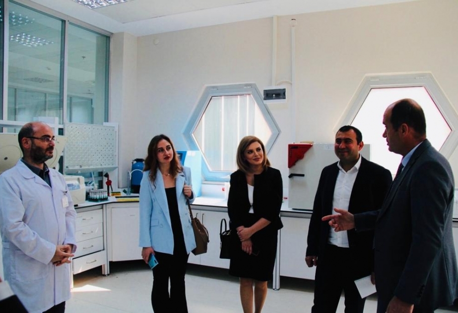 BDU-nun nəzdində Arı xəstəlikləri diaqnostika laboratoriyasının qurulması planlaşdırılır