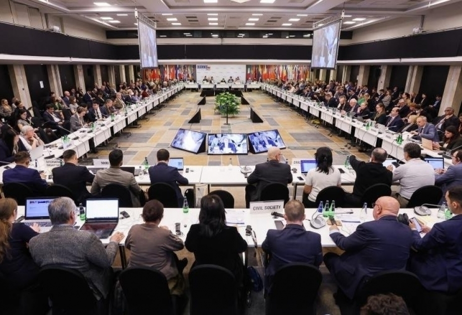 Las organizaciones no gubernamentales hacen llegar al mundo la justa voz de Azerbaiyán