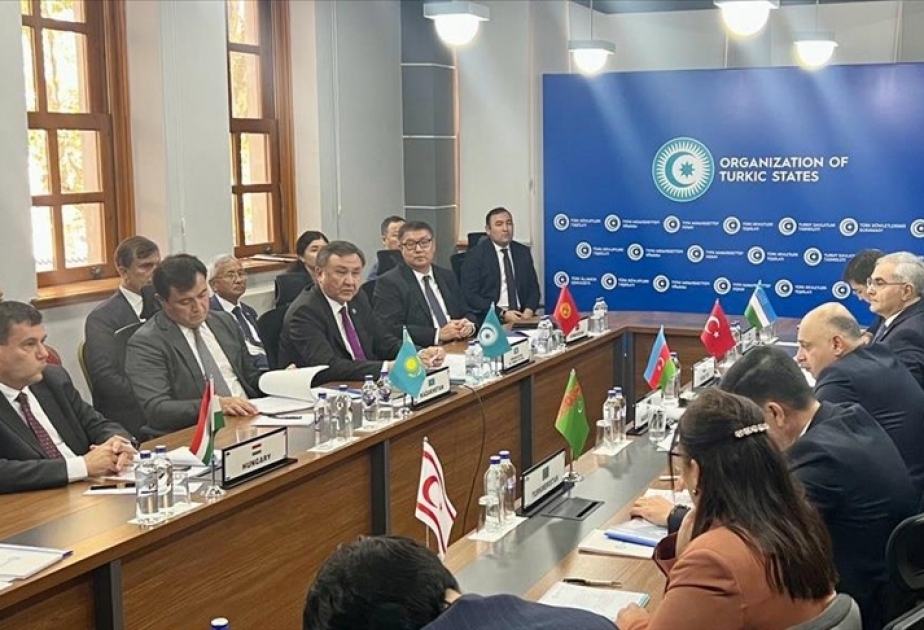 TDT-yə üzv ölkələrin nümayəndələri İstanbulda siyasi məsləhətləşmələr aparıblar