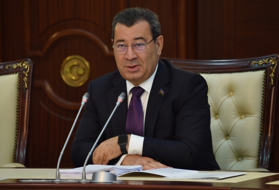 MM-in komitə sədri: Avropa Parlamentinin növbəti qərəzli qətnaməsi həm də islamofob xarakteri daşıyır