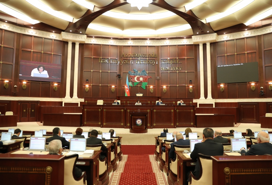 “Sosial xidmət haqqında” Qanuna dəyişikliklər birinci oxunuşda təsdiq edilib