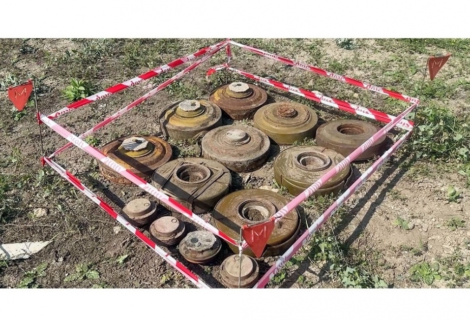 国防部：在卡拉巴赫地区发现并拆除123枚地雷  视频