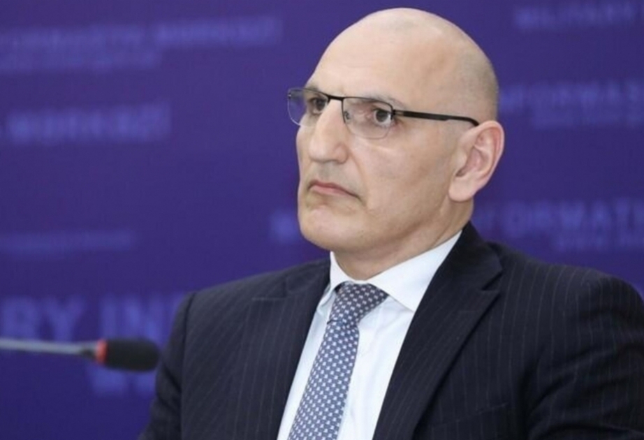 Elchin Amirbayov: Azerbaijan's trust in France as a mediator is zero