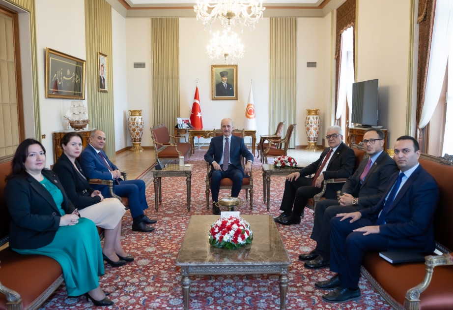Yeni Azərbaycan Partiyası Sədrinin müavini Türkiyə Böyük Millət Məclisinin sədri ilə görüşüb