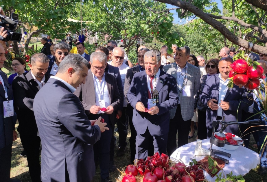 Naftalanda olan xarici qonaqlar "Qaşaltı nar bağları"na baxış keçiriblər