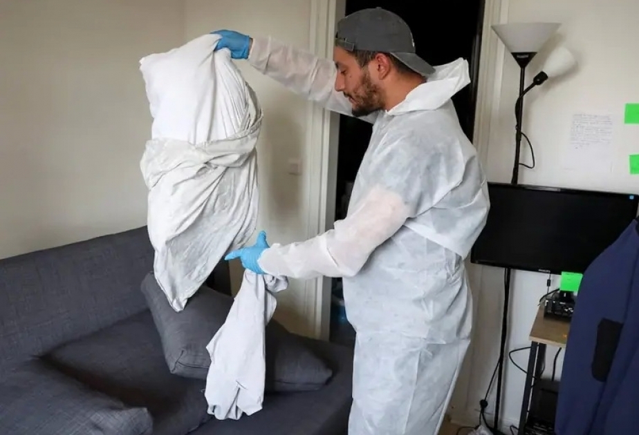 Fransanı taxtabitilər bürüyüb