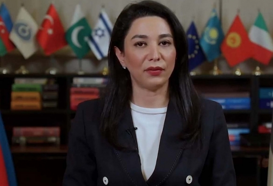 Ombudsman: Beynəlxalq ictimaiyyəti Ermənistanın mina terroruna qarşı müvafiq sanksiyalar tətbiq etməyə çağırıram
