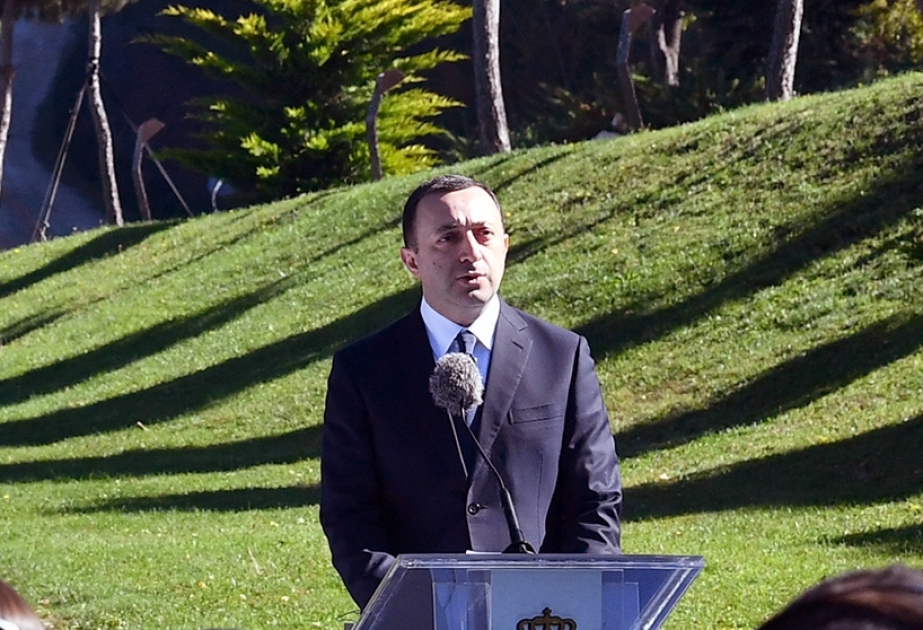 İrakli Qaribaşvili: Cənubi Qafqazın hər üç ölkəsi regional məsələləri özləri həll etməlidir