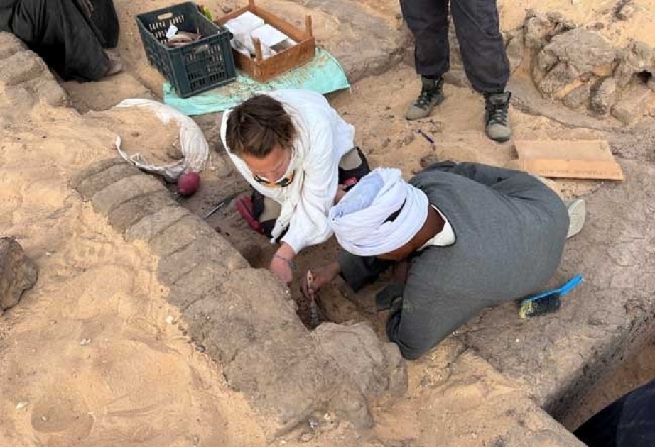 5,000-year-old wine for Egyptian queen
