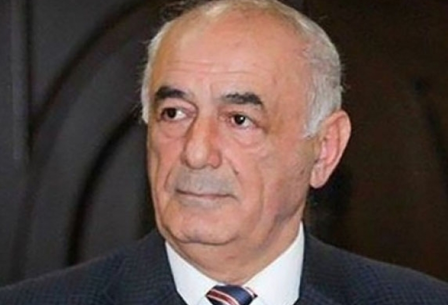 Avropa Parlamentinin qərəzli qətnamələri tarixin arxivinin zibilliyini “zənginləşdirir” -  ŞƏRH