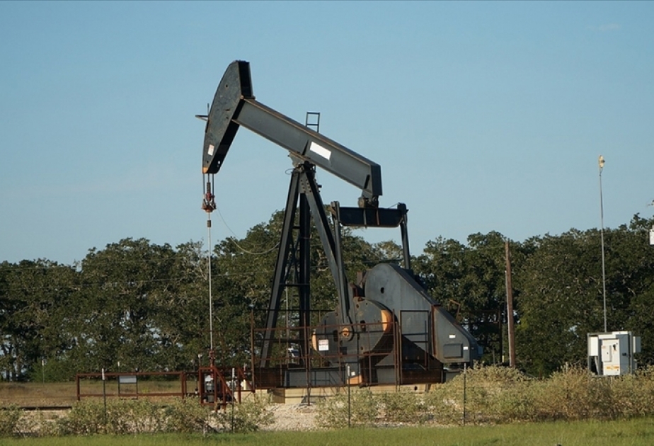 OPEC: 2045-ci ildə gündəlik qlobal neft tələbatı 116 milyon barelə çatacaq