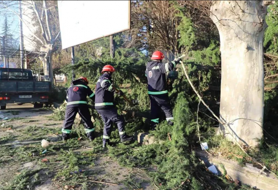 Güclü külək Tbilisidə ciddi fəsadlar törədib
