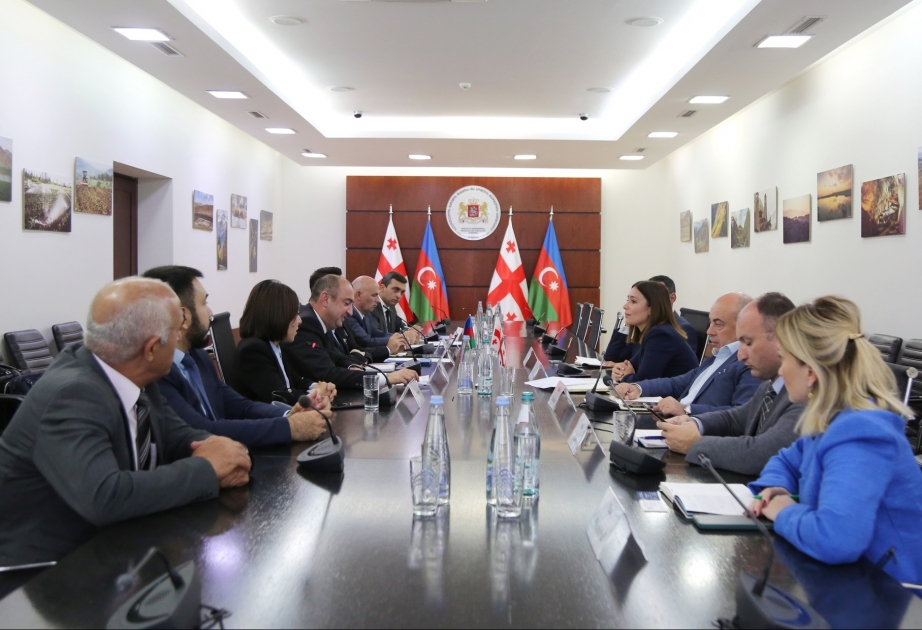 Azərbaycan ilə Gürcüstan arasında ekologiya sahəsində əməkdaşlığın istiqamətləri müzakirə olunub