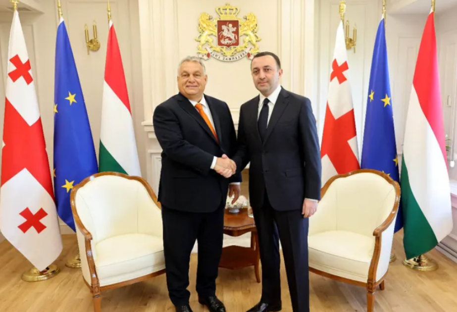 Qaribaşvili və Orban Qara dəniz sualtı elektrik kabeli layihəsini müzakirə  ...