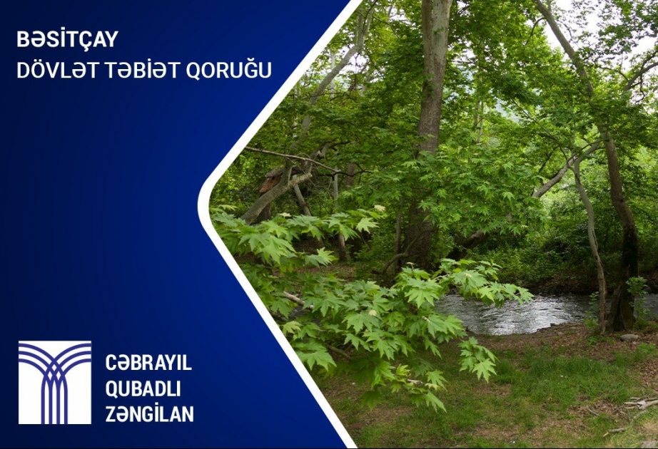 İşğaldan azad olunan Bəsitçay Dövlət Təbiət Qoruğu füsunkar gözəlliyinə qovuşur