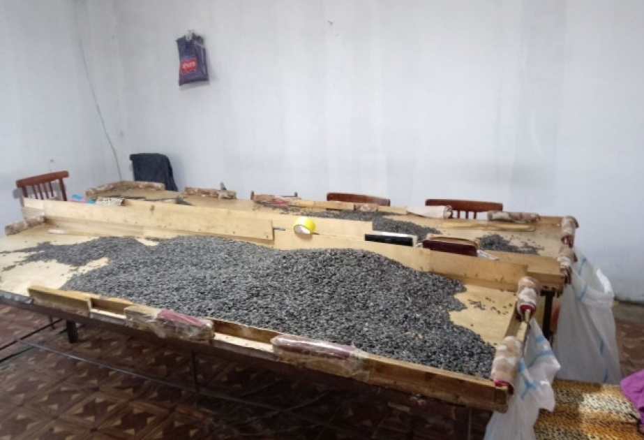 Bərdədə sanitar qaydalara əməl etməyən günəbaxan tumlarının emalı müəssisəsi aşkarlanıb