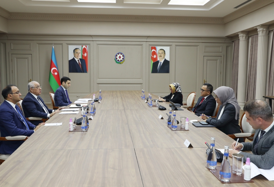 阿塞拜疆总理会见印尼行政和官僚改革部部长