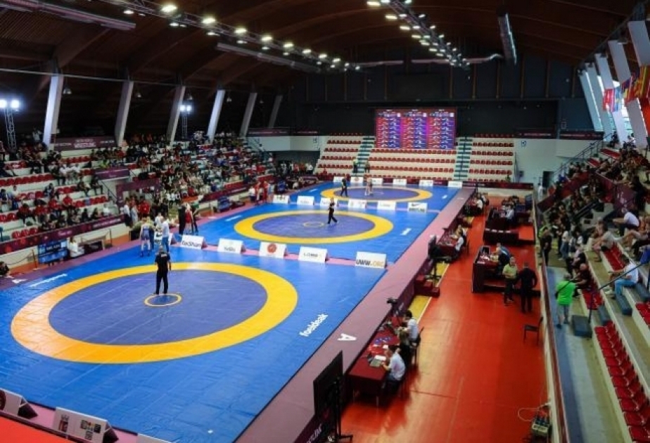 Azərbaycanın güləş yığmaları dünya çempionatına hazırlığın son mərhələsini keçirlər