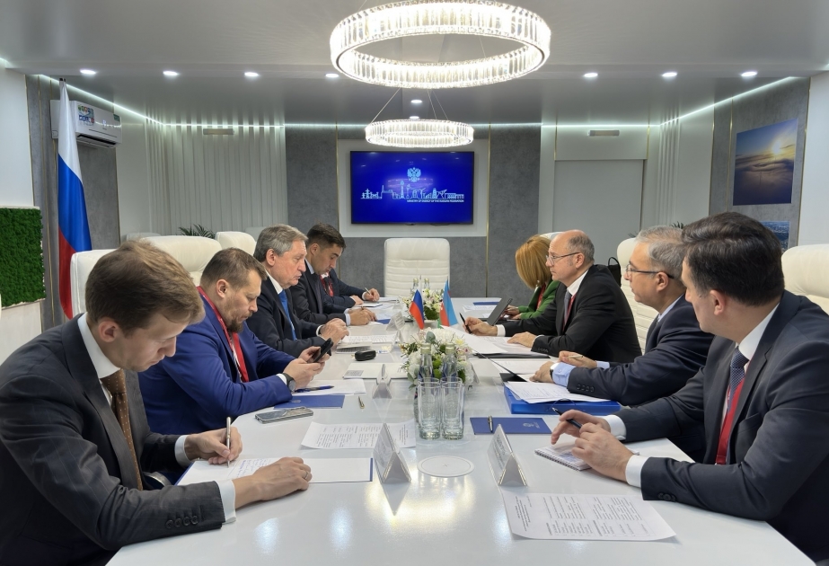 Azerbaijan's Minister of Energy holds bilateral meetings in Russia