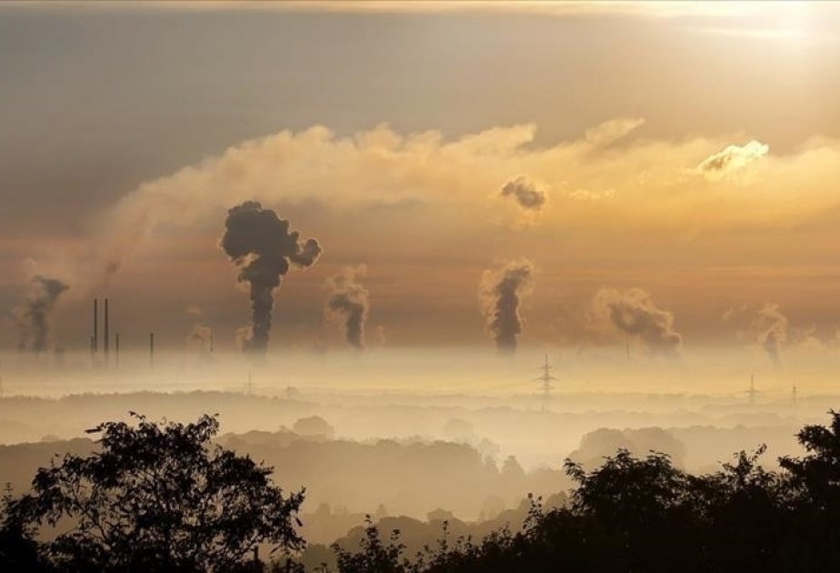 UK losing climate action leadership with net-zero policy shift: Expert