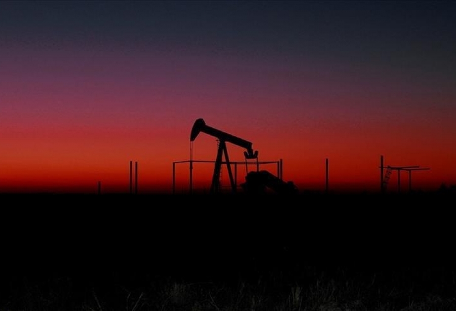 OPEC ölkələrinin gündəlik neft hasilatı artıb