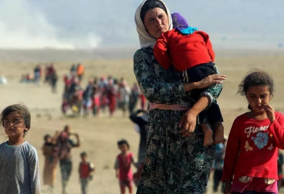 Azərbaycanlı deputat AŞPA-da əfqan qaçqınların üzləşdikləri humanitar böhrandan danışıb